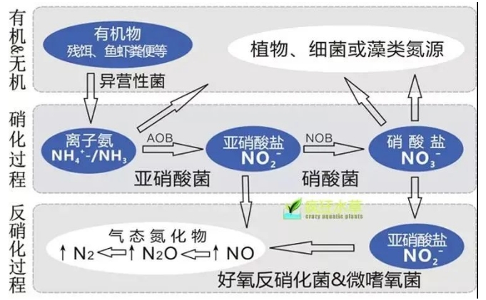 低浓度氨氮工业废水处理